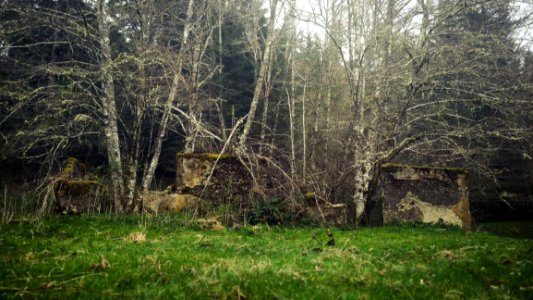 Remains Of A School In The Melmont Ghost Town