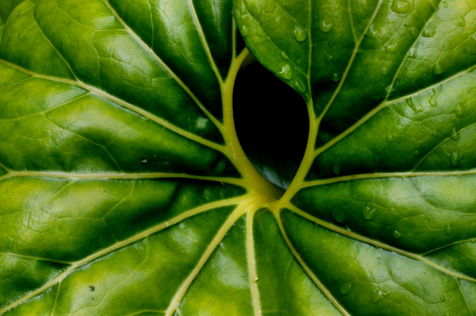 Patterns Of Nature