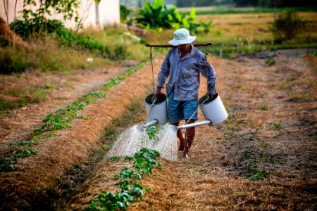 Man Watering The Plant During Daytime