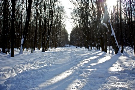 Park Zwierzyniecki