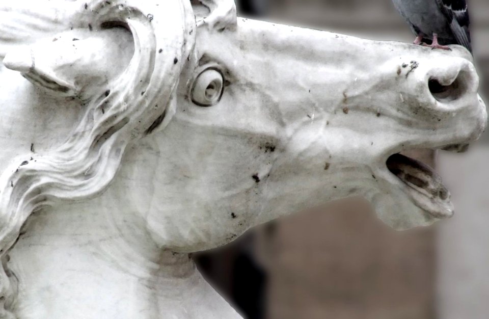 Roma-Italy - Creative Commons By Gnuckx