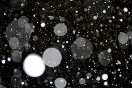 Rain Drops