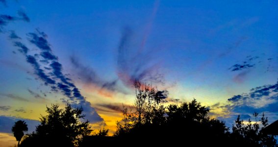 Sunset Over Treetops photo