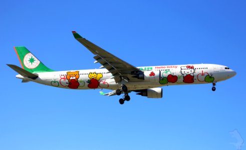 Commercial Airliner With Hello Kitty