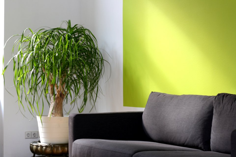 Living Room Interior