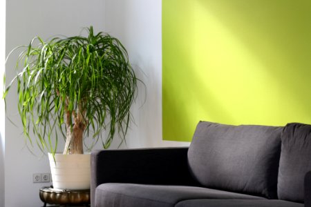Living Room Interior