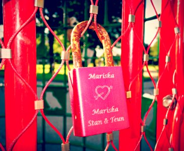 PUBLIC DOMAIN DEDICATION - Pixabay - Digionbew 12 11-07-16 Love Padlock On Love Gate LOW RES DSC05441