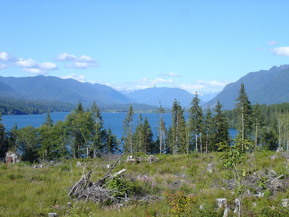 Scenery vista nature