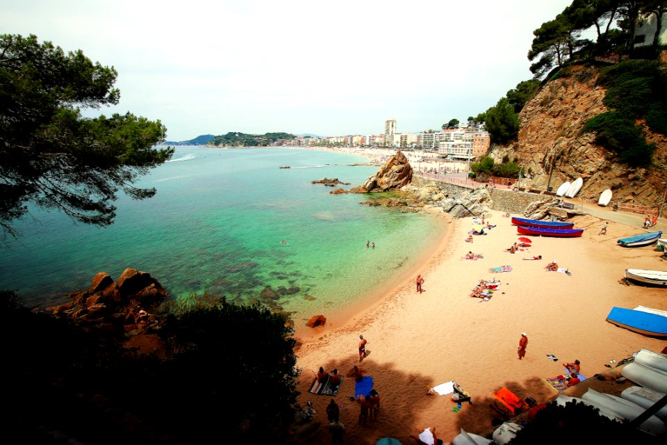 Aerial View Of Beach Surrounded By Trees