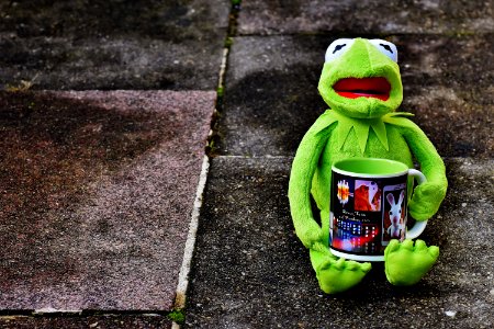 Toy Frog Holding Tea Mug photo