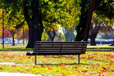 Black Wooden Bench On Green Grass