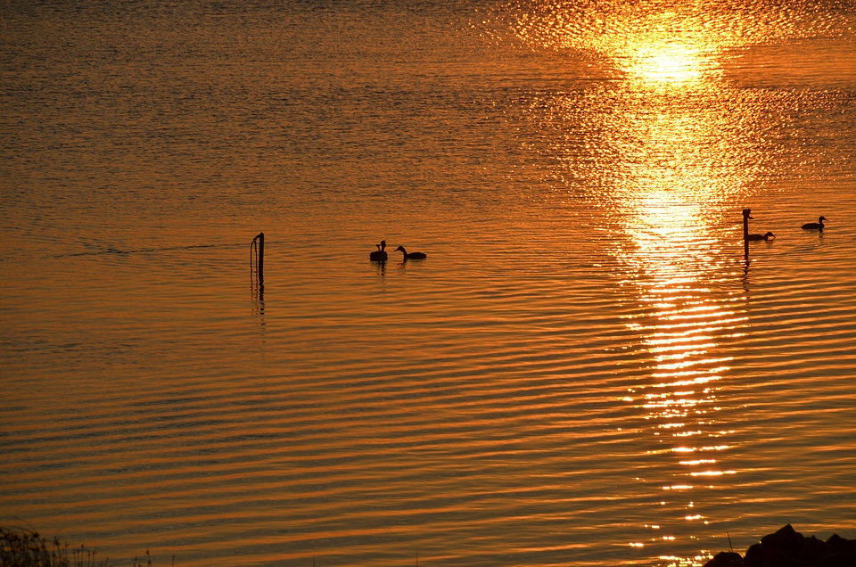 Lake sunset evening