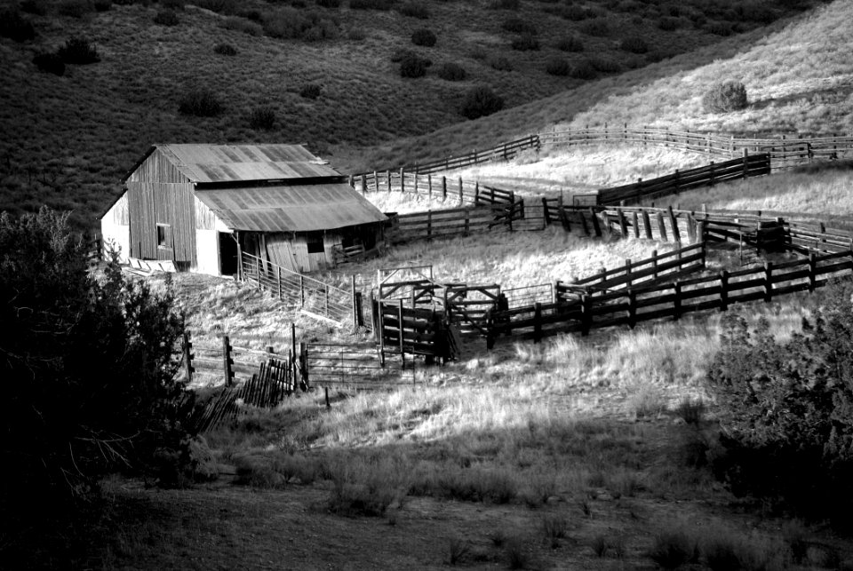 Gray Scale Photo Of House On Field
