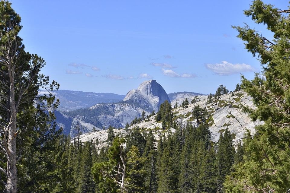 National forest america
