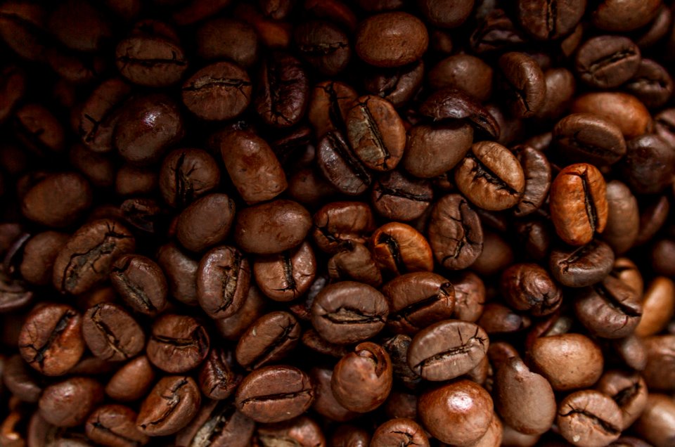 Roasted Coffee Beans
