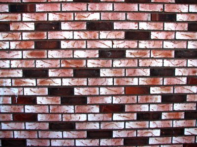 Brick Wall 6 photo