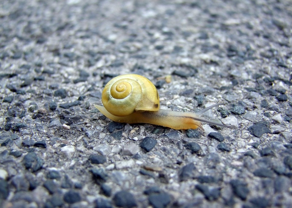 Crawling moving motion