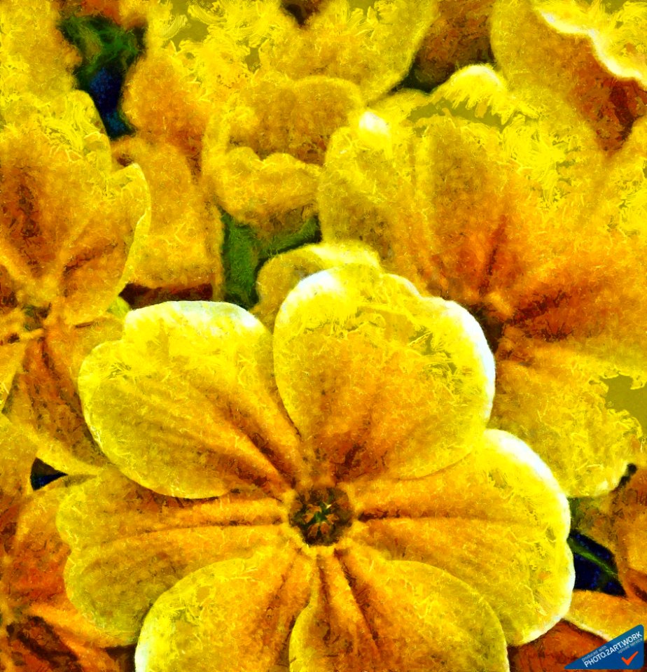 Primroses - ID 16235-142746-8681