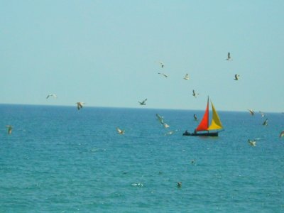 Boat On The Sea