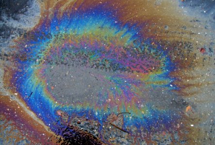 Oil Slick 1 photo