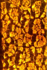 Amber Glass Texture 4 photo