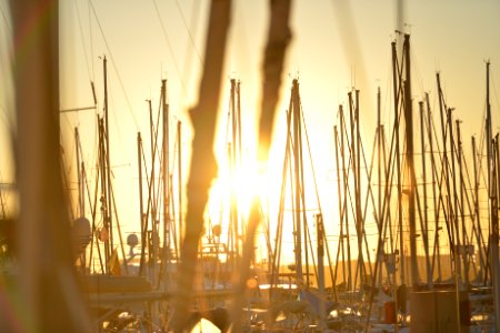 Sailboats In Harbor At Sunset photo