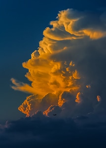 Glowing evening cumulus