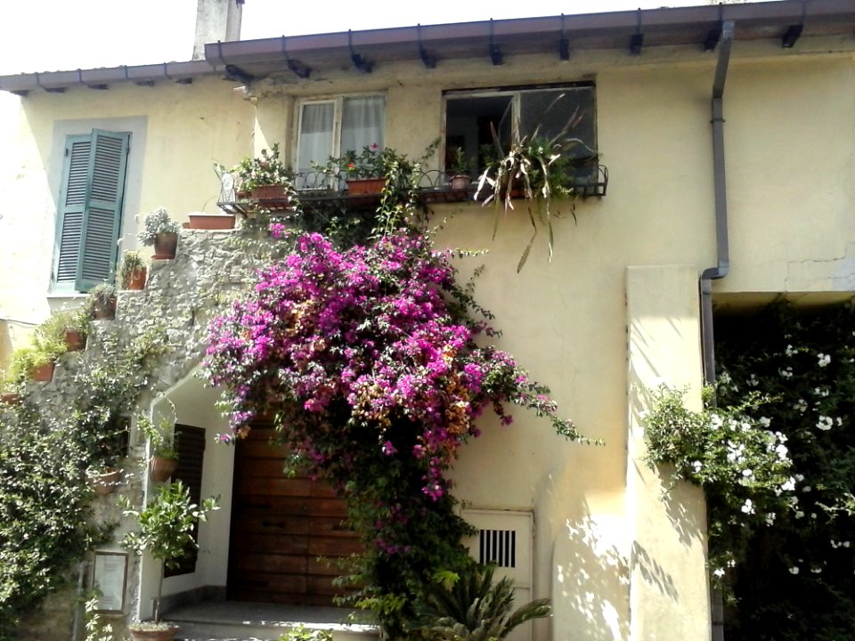 Anguillara