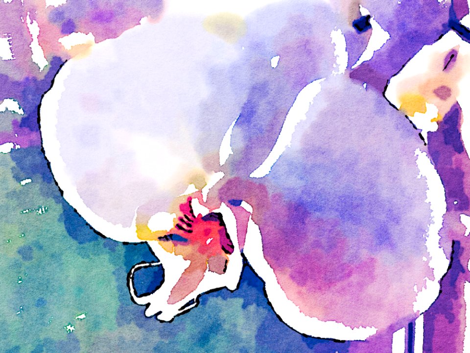 Orchid In Watercolor