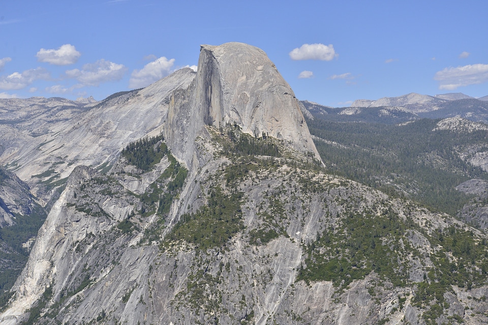 National forest america photo