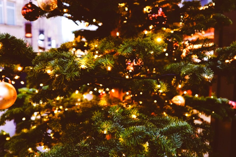 Christmas Tree Lights