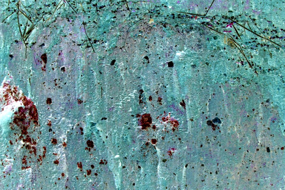 Solarized Sand (IMG3333bsol)