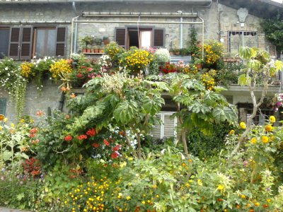 Anguillara