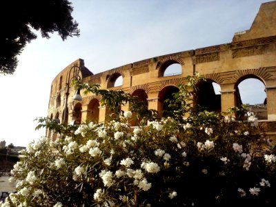 Colosseo photo