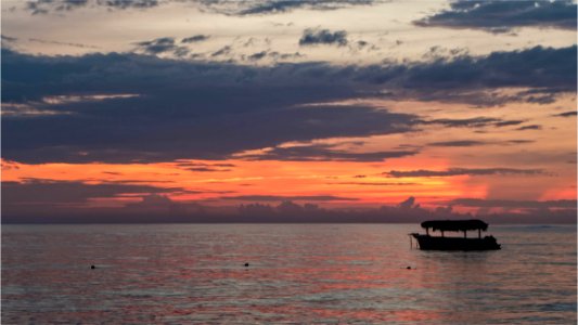 Caribbean Sunrise photo