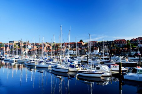 White Sailing Boats Near Shore During Daytime photo