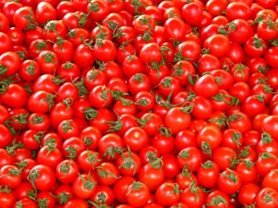 Red Tomatoes