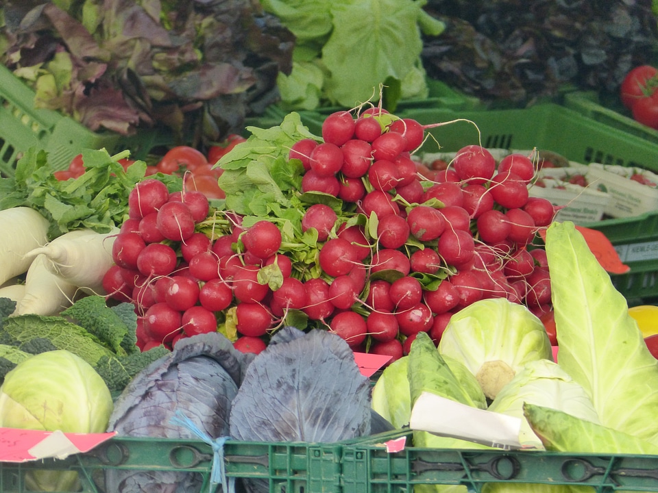 Tomatoes farmers radishes