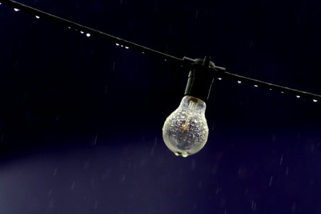 Bulb In The Rain