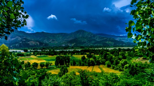 Green Mountain Distance With Trees photo