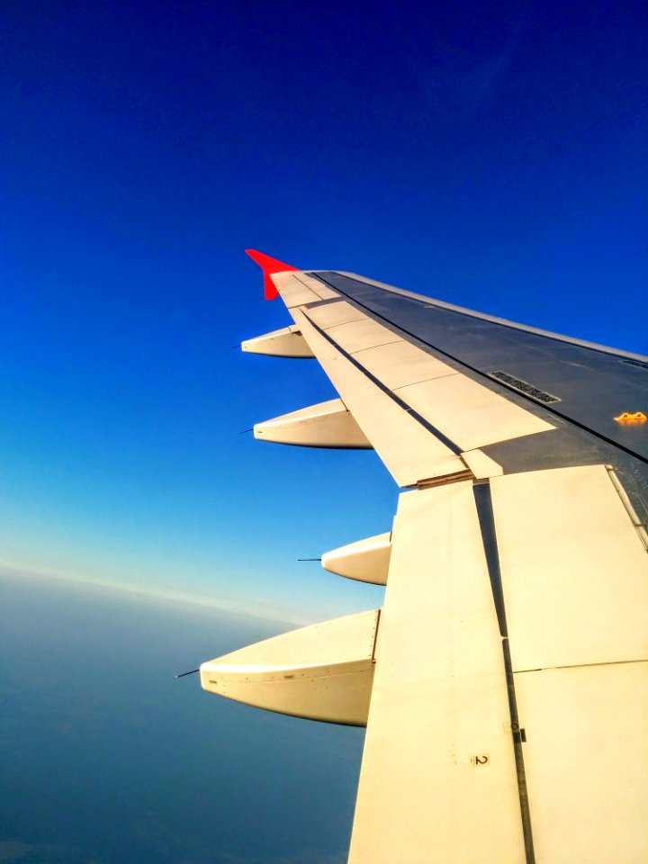 White And Black Left Plane Wing