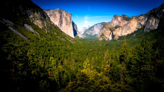 Green Forest Trees Between Beige Rock Formation Under Clear Sky During Daylight photo