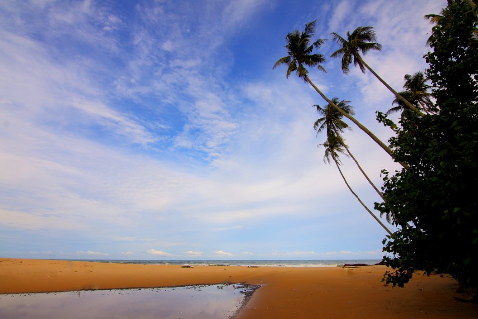 Blue Sky Above Beach During Daytime