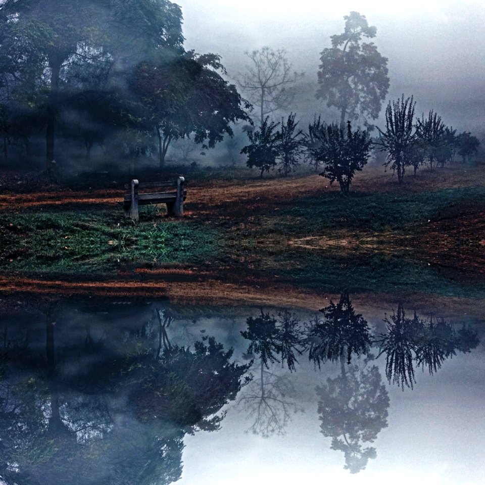 Idyllic Landscape With Fog