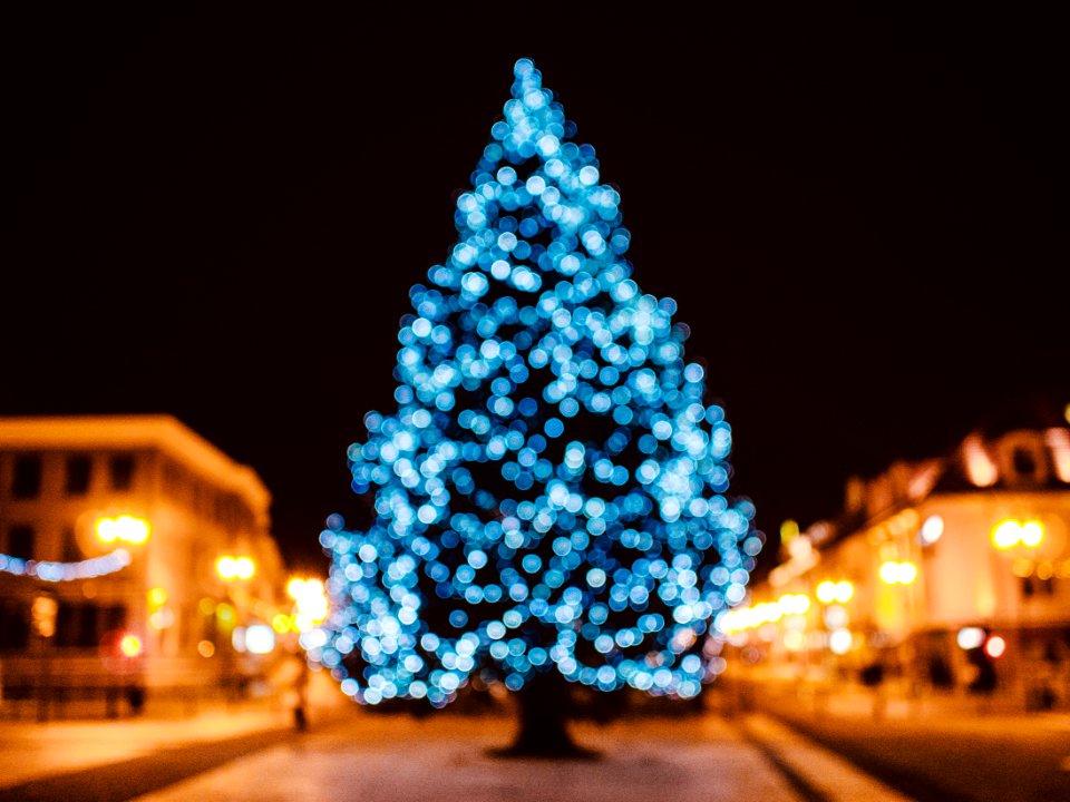 Christmas Tree In City