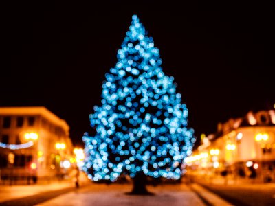 Christmas Tree In City