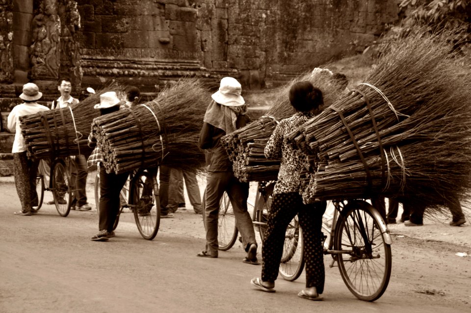 Asian Workers Transporting Brooms