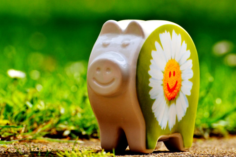 White And Green Ceramic Pig Decor photo