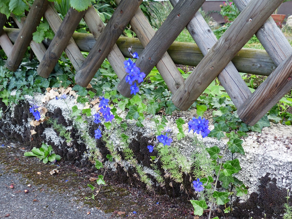 Wall fouling flower