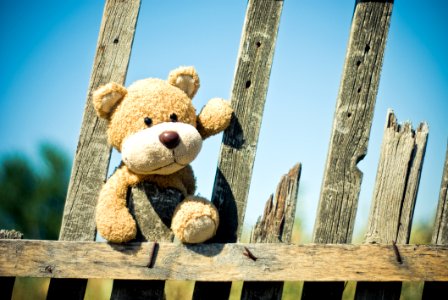 Brown Teddy Bear On Brown Wooden Fence photo